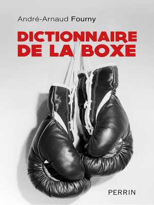 cover image of Dictionnaire de la boxe